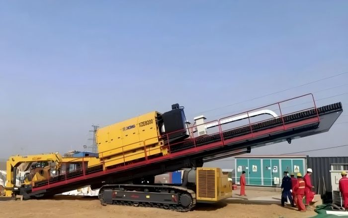 春植希望，探索DG视讯“绿色力量”！