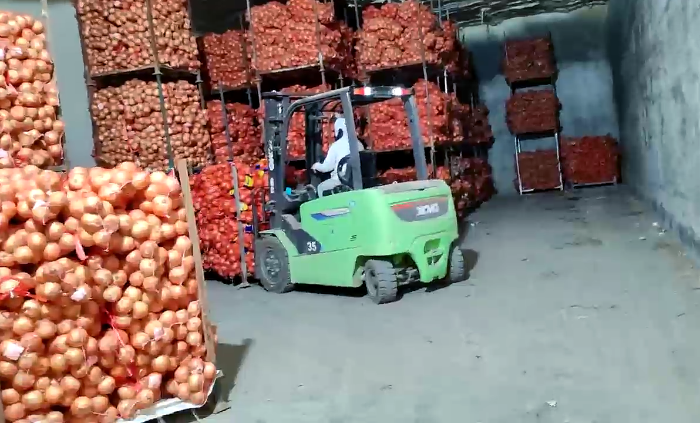 DG视讯鲲鹏系列新能源叉车，为食品冷库工厂注入绿色动能