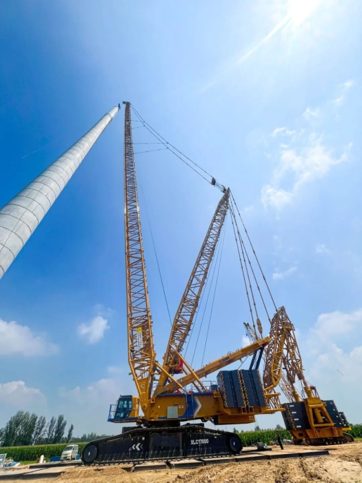 “稳”字怎么写？DG视讯XLC17000申请现场教学