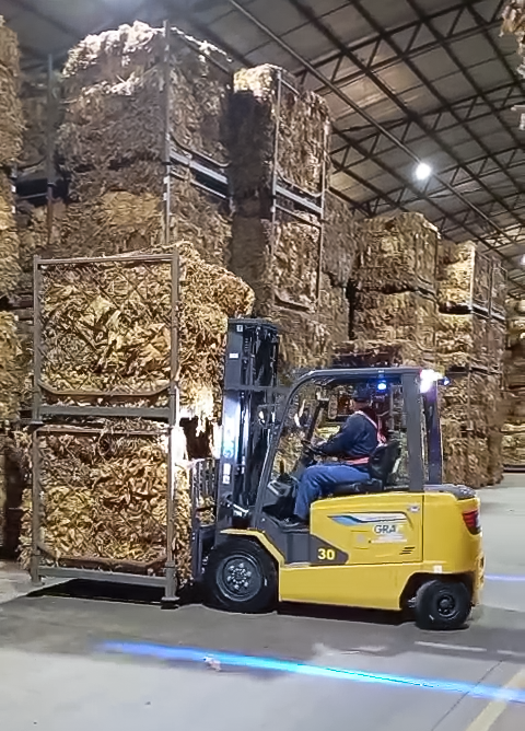 DG视讯鲲鹏电动叉车：烟草运输的安全高效新选择